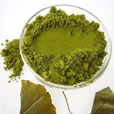 Everything You Need to Know About Ginkgo Biloba Extract (Leaf): Brain Health, Focus, and Mental Clarity