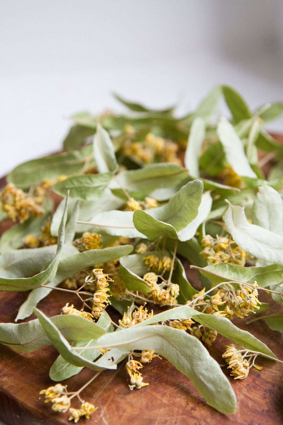 The Calming Power of Linden Flower Extract: An Ancient Remedy Backed by Modern Science