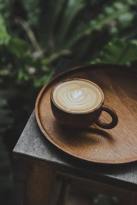 L-Theanine and Caffeine: The Perfect Pair for Calm Focus